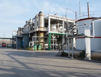 Magnesium Hydroxide (hexagonal)